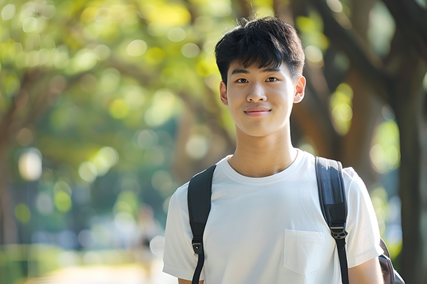 三本艺术类的大学排名(云南的三本院校排名)