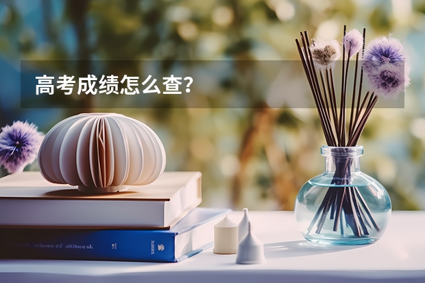 高考成绩怎么查？