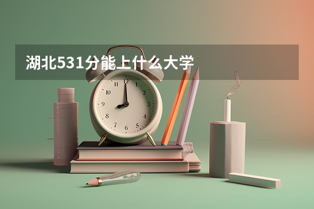 湖北531分能上什么大学