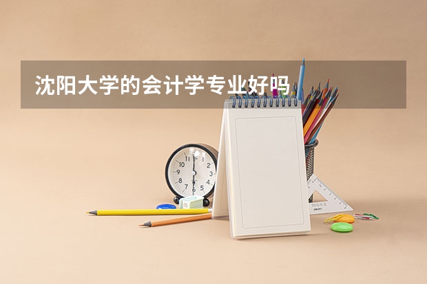沈阳大学的会计学专业好吗