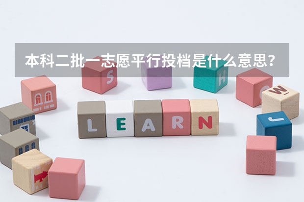 本科二批一志愿平行投档是什么意思?谁给解释下.........