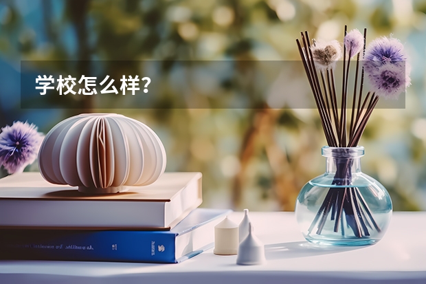 学校怎么样？