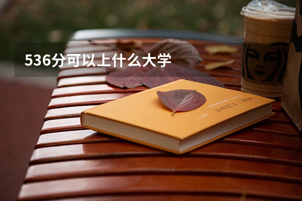 536分可以上什么大学