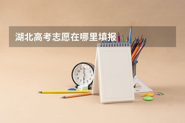 湖北高考志愿在哪里填报