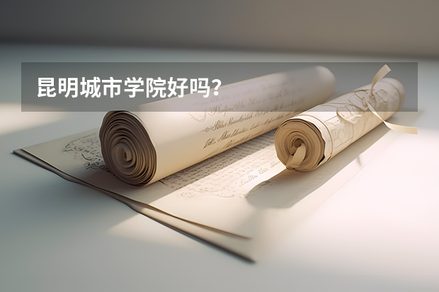 昆明城市学院好吗？
