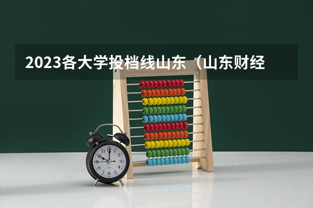 2023各大学投档线山东（山东财经大学2023年录取分数）