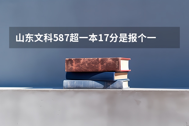 山东文科587超一本17分是报个一本学校还是报山财山经呢?求高人指点~