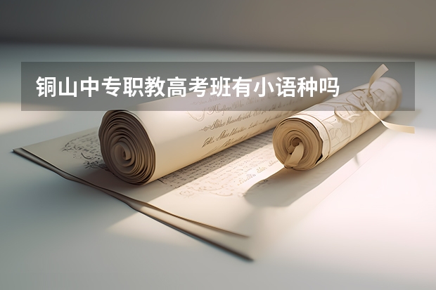 铜山中专职教高考班有小语种吗