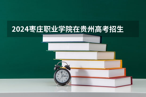 2024枣庄职业学院在贵州高考招生计划介绍
