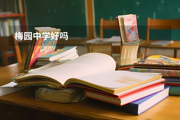 梅园中学好吗
