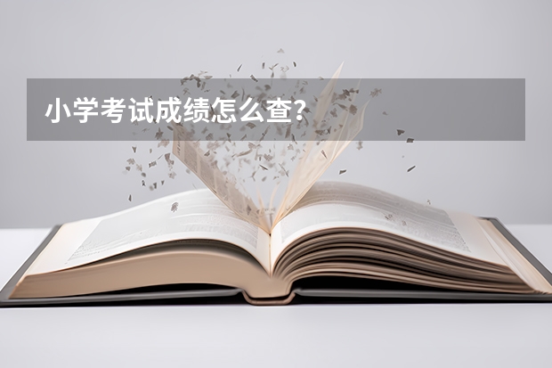 小学考试成绩怎么查？