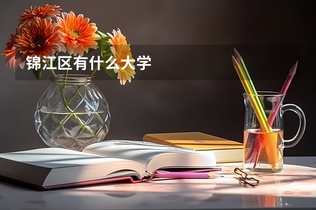 锦江区有什么大学