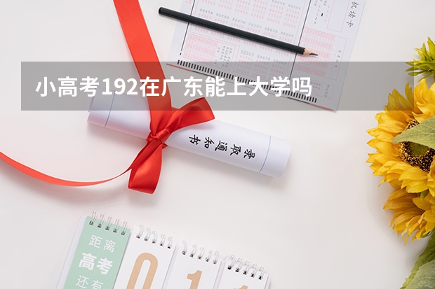 小高考192在广东能上大学吗