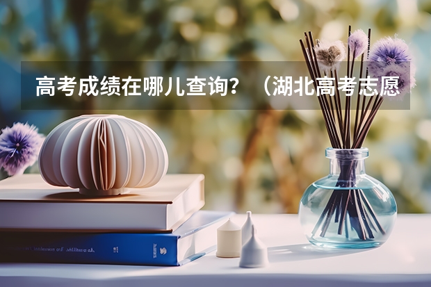 高考成绩在哪儿查询?(湖北高考志愿查询网官网入口:http://zsxx.e21.cn)