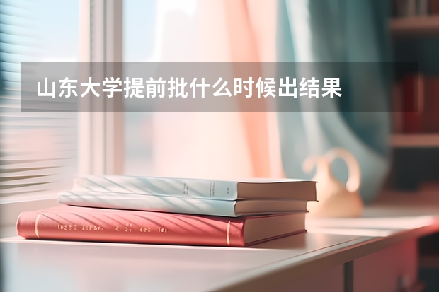 山东大学提前批什么时候出结果