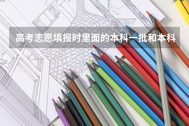 高考志愿填报时里面的本科一批和本科二批等等都要填吗,里面好几个填的,急求?