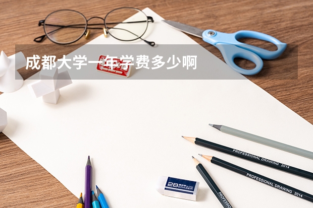 成都大学一年学费多少啊