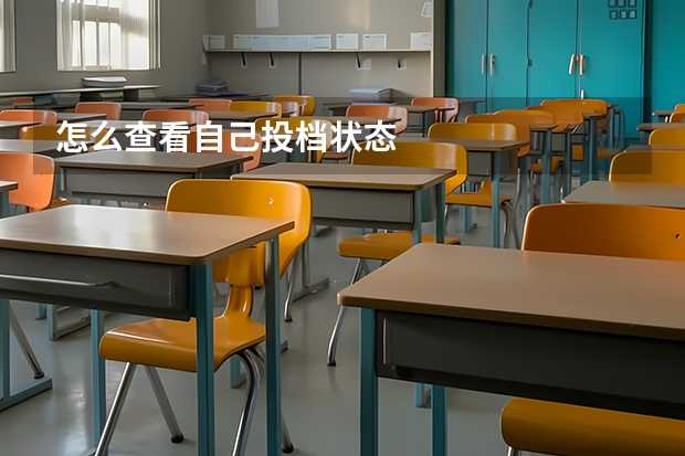 怎么查看自己投档状态
