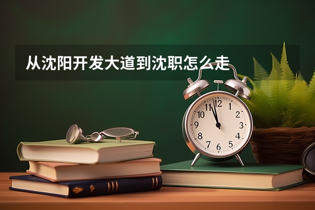 从沈阳开发大道到沈职怎么走