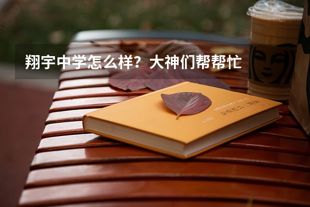 翔宇中学怎么样?大神们帮帮忙