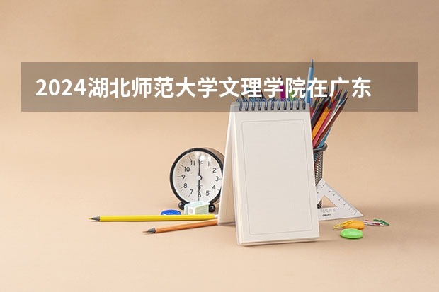 2024湖北师范大学文理学院在广东高考招生计划介绍