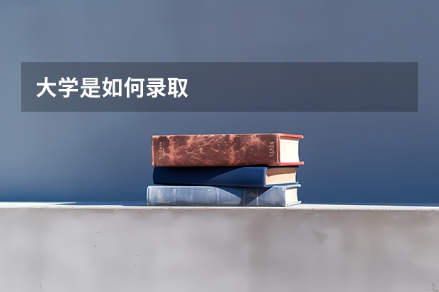 大学是如何录取
