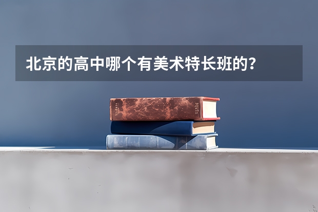北京的高中哪个有美术特长班的？