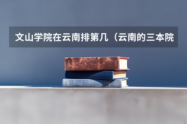 文山学院在云南排第几（云南的三本院校排名）