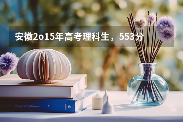 安徽2o15年高考理科生,553分能被浙江外国语学院录取吗并且是第一志愿