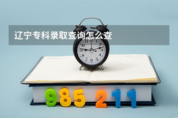 辽宁专科录取查询怎么查