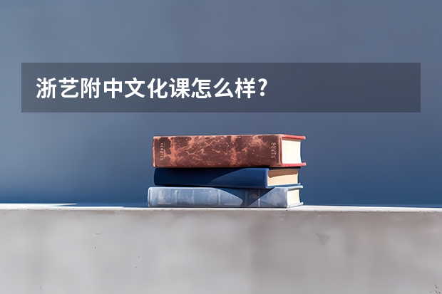 浙艺附中文化课怎么样?