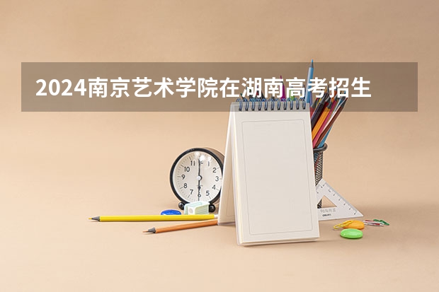 2024南京艺术学院在湖南高考招生计划介绍