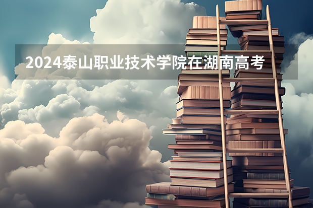 2024泰山职业技术学院在湖南高考招生计划介绍