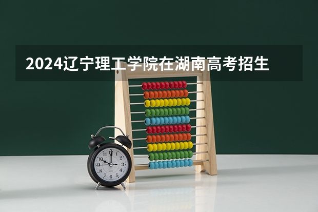 2024辽宁理工学院在湖南高考招生计划介绍