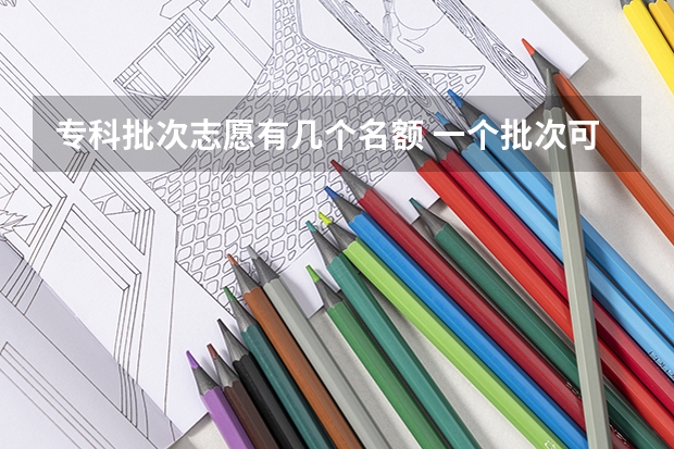 专科批次志愿有几个名额 一个批次可以报几个志愿