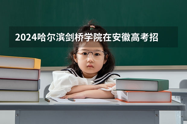 2024哈尔滨剑桥学院在安徽高考招生计划介绍