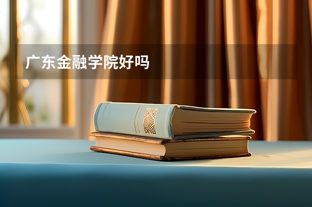 广东金融学院好吗