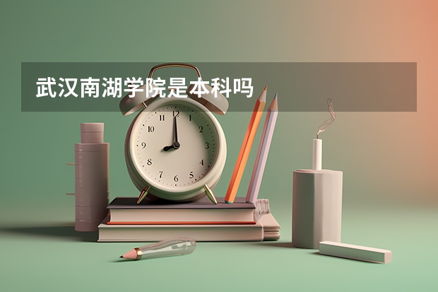 武汉南湖学院是本科吗