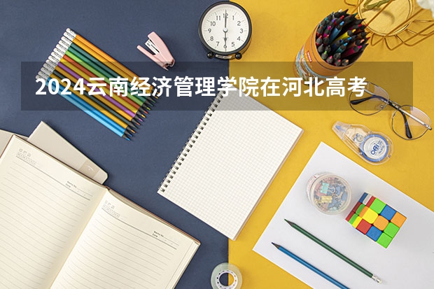 2024云南经济管理学院在河北高考招生计划介绍