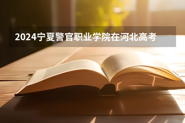 2024宁夏警官职业学院在河北高考招生计划介绍