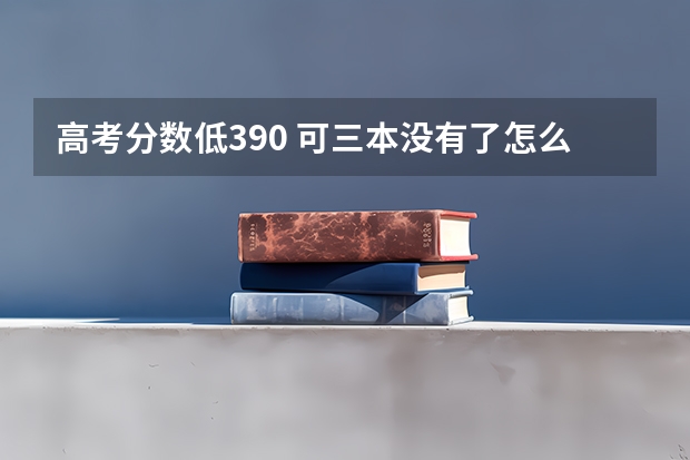 高考分数低390 可三本没有了怎么报河北
