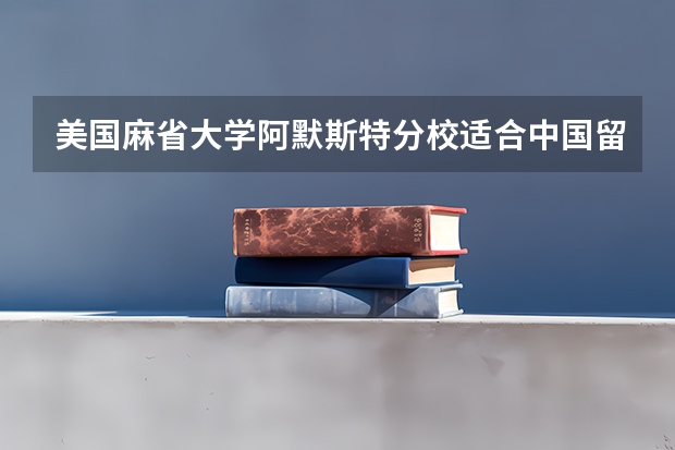美国麻省大学阿默斯特分校适合中国留学生去吗？