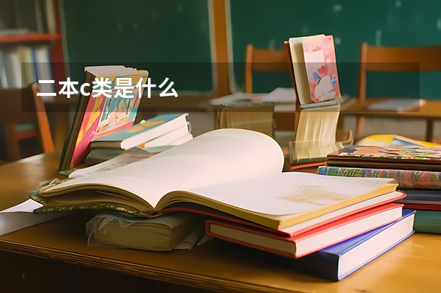 二本c类是什么