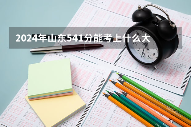 2024年山东541分能考上什么大学？