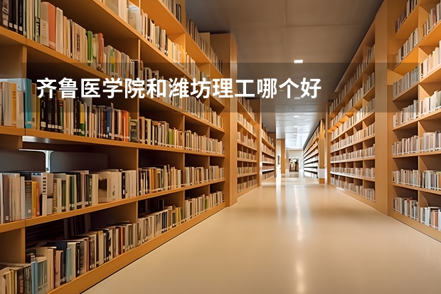 齐鲁医学院和潍坊理工哪个好