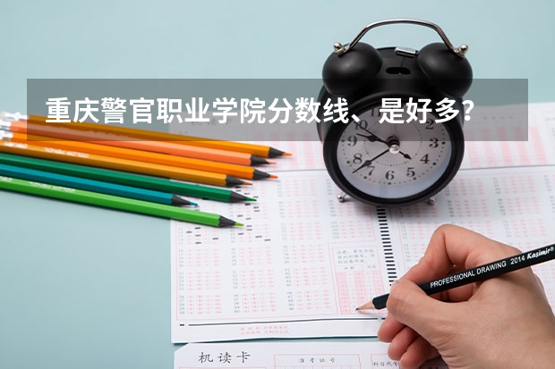 重庆警官职业学院分数线、是好多？ 重庆警官职业学院 （理科）专科第一批录取分数线