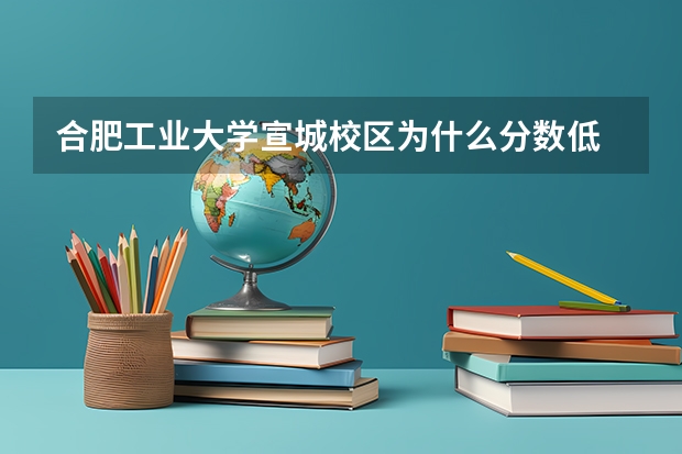 合肥工业大学宣城校区为什么分数低