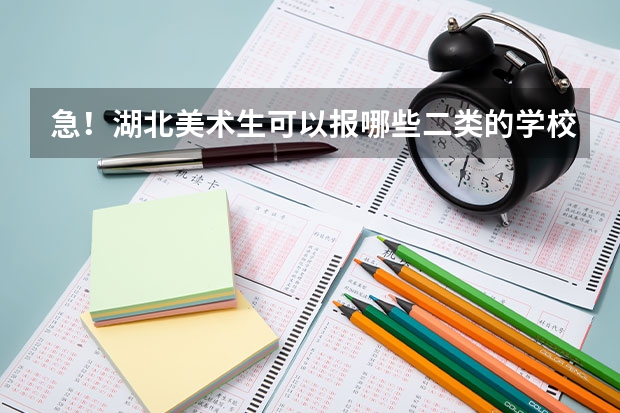 急！湖北美术生可以报哪些二类的学校