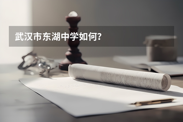 武汉市东湖中学如何?