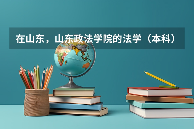 在山东，山东政法学院的法学（本科）专业怎么样？